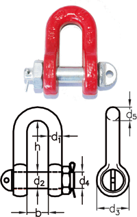 Schkel Form C