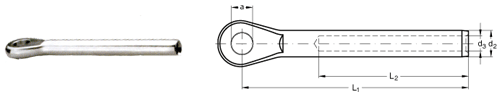 ASS Maxi-Augterminal