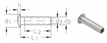ASS Super-Mini-Linsenkopfterminal